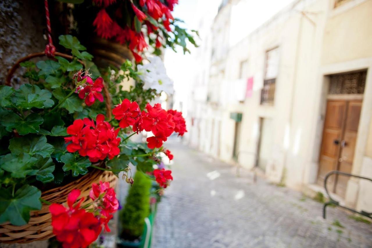 With One Bedroom In With Wonderful City View Balcony And Wifi 12 Km From The Beach * Lisboa